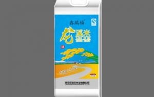 龍溪米